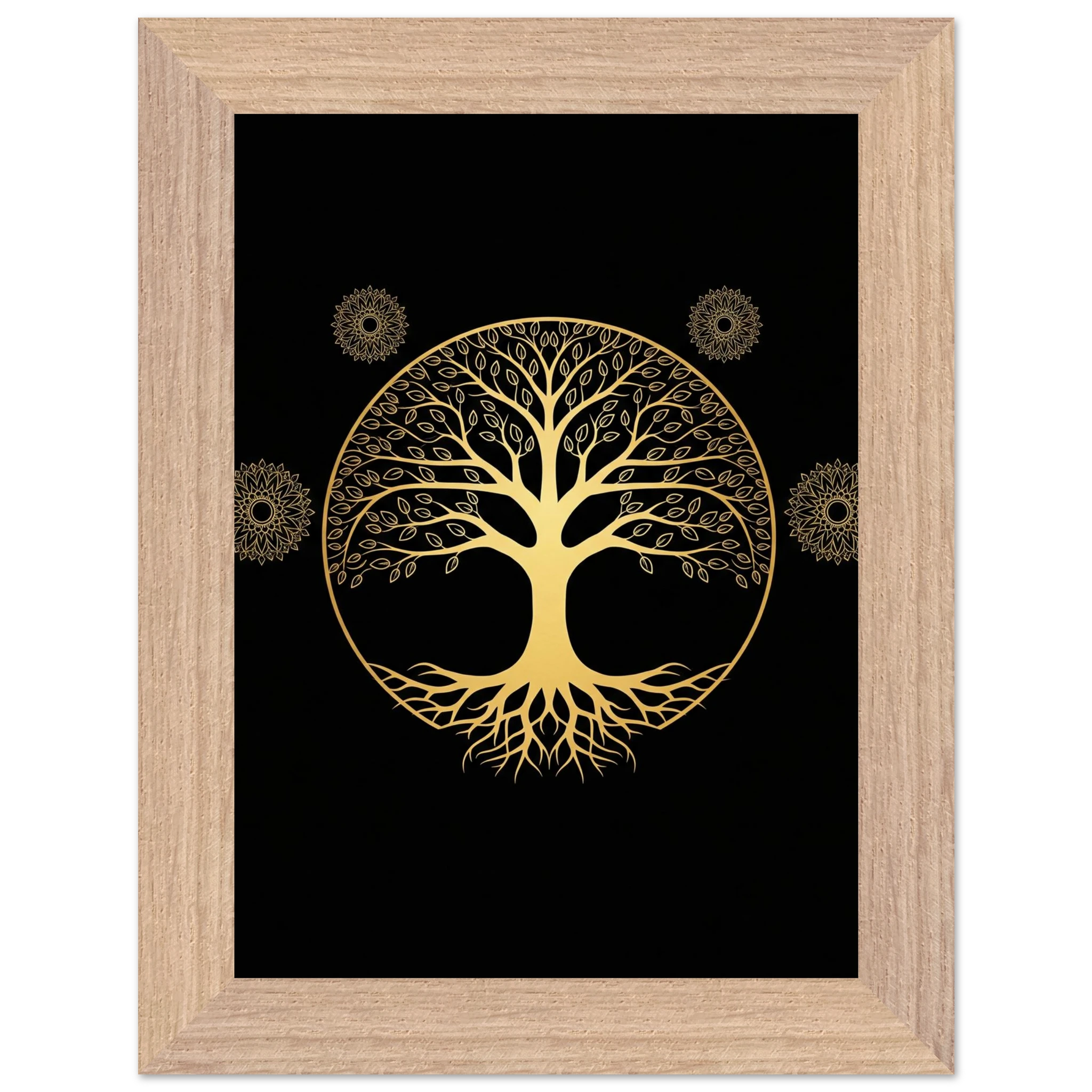 1ac64a34-4067-40fd-88b1-f12aec3ec5ac